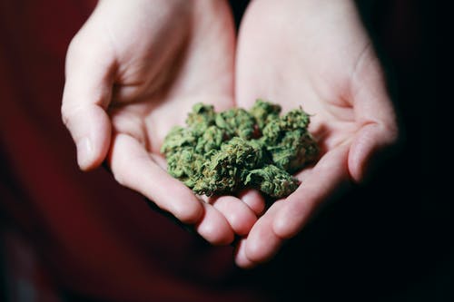 Medical Marijuana: Therapeutic Effects on People’s Overall Health