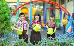 Benefits of Early Orthodontic Therapy in Pediatric Dentistry
