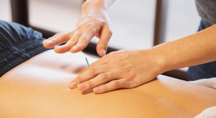 Who Are the Experts Involved in Managing a Health and Wellness Center?